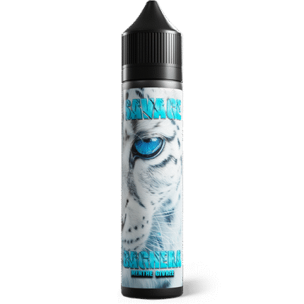 E-liquides Menthe Baghera | 50mL
